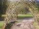 Willow Tunnel